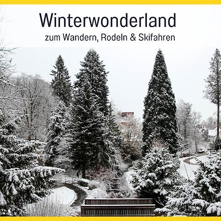 Marks Ferienwohnung In Bad Sachsa - Waldnah, Hundefreundlich, Ruhig! Ideal Fuer Paare Mit Hund Exterior foto